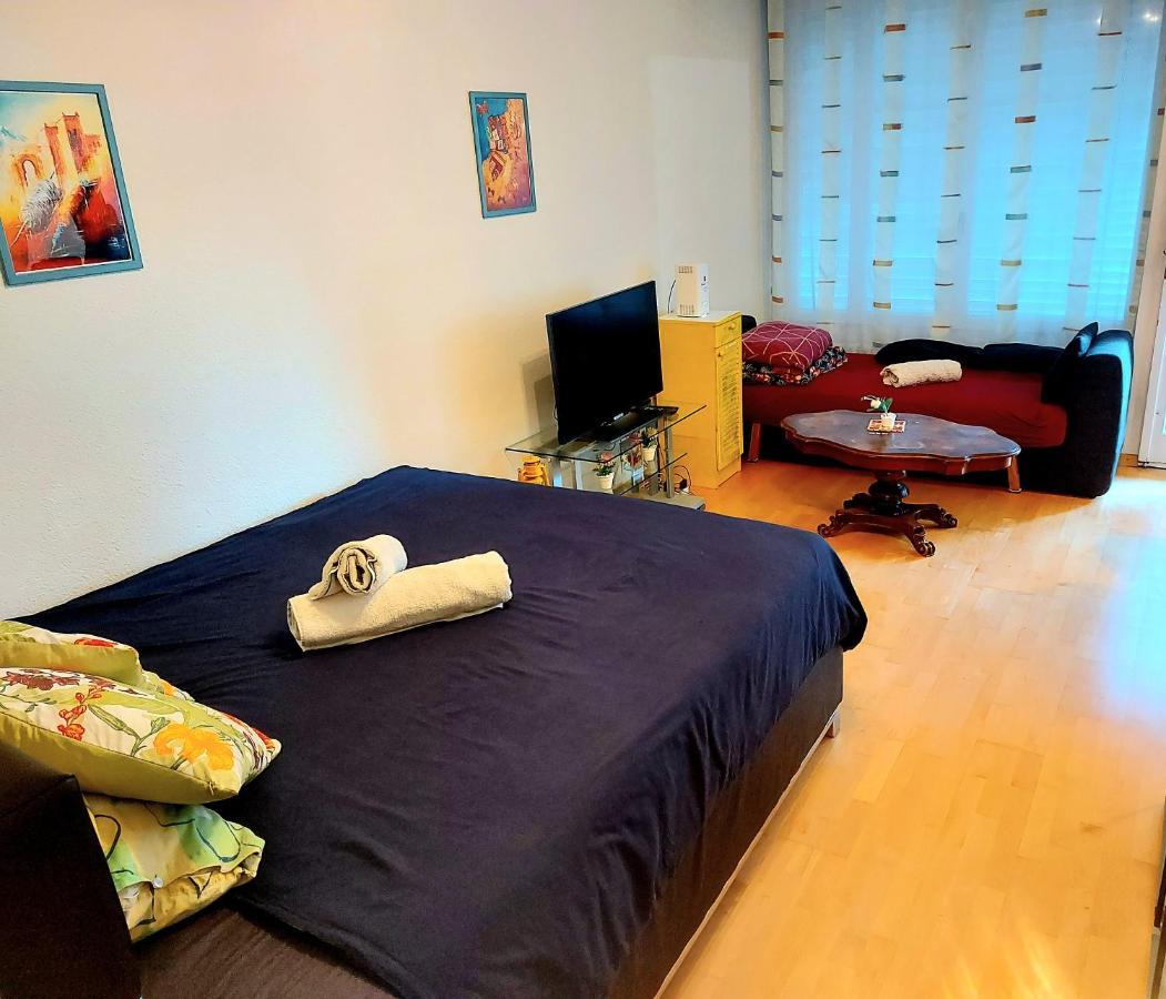 Large Apartment Bern City Centre 外观 照片
